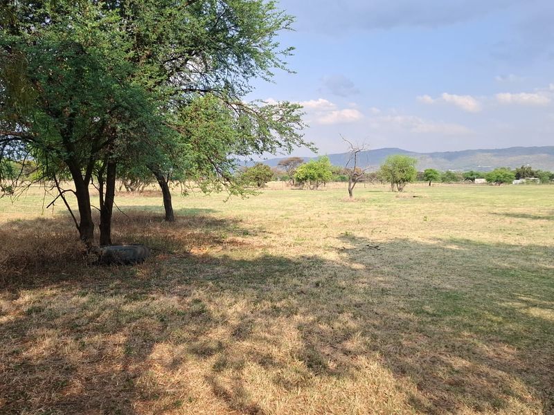Expansive open grassland area featuring mature trees and scenic mountain views, suitable for agricultural use or outdoor development on this small holding.