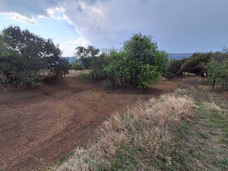 A view of the natural landscape on the small holding, featuring mature trees and dry, cracked earth terrain.