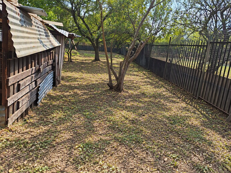 A view of the garden area featuring mature trees, metal perimeter fencing, and a weathered corrugated iron structure.