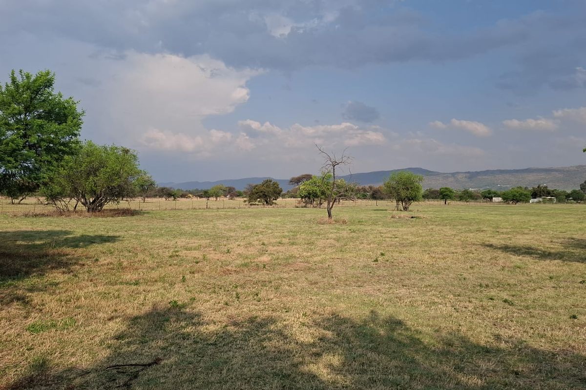 A wide-angle view of the open land on the small holding, featuring natural vegetation, mature trees, and distant mountain views.