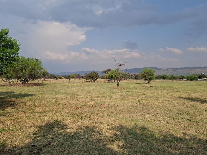 A wide-angle view of the open land on the small holding, featuring natural vegetation, mature trees, and distant mountain views.
