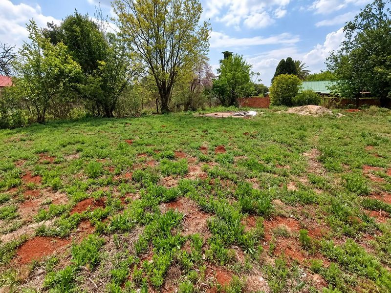 A view of a vacant residential plot featuring natural vegetation and mature trees, offering a blank canvas for future development.