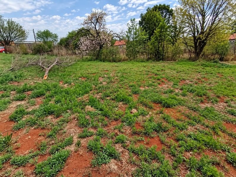 A view of a vacant residential plot featuring natural grass, red soil, and mature trees with perimeter fencing.
