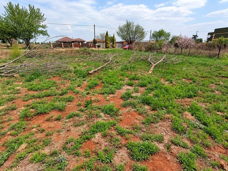 A view of a vacant residential plot featuring natural grass, soil, and mature trees, suitable for future development.