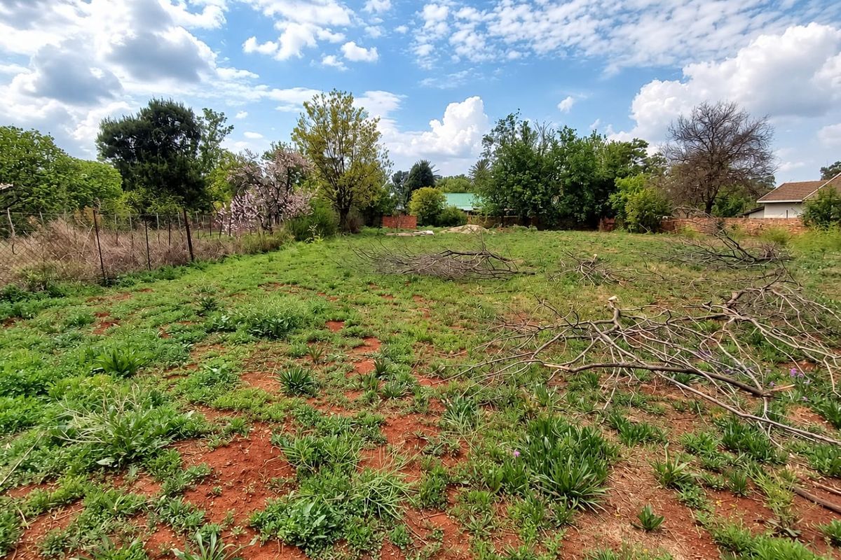A vacant residential plot featuring natural ground cover, mature trees, and perimeter fencing, offering a blank canvas for future development.