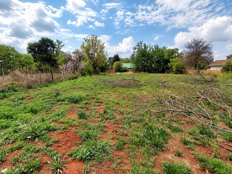 A vacant residential plot featuring natural ground cover, mature trees, and perimeter fencing, offering a blank canvas for future development.