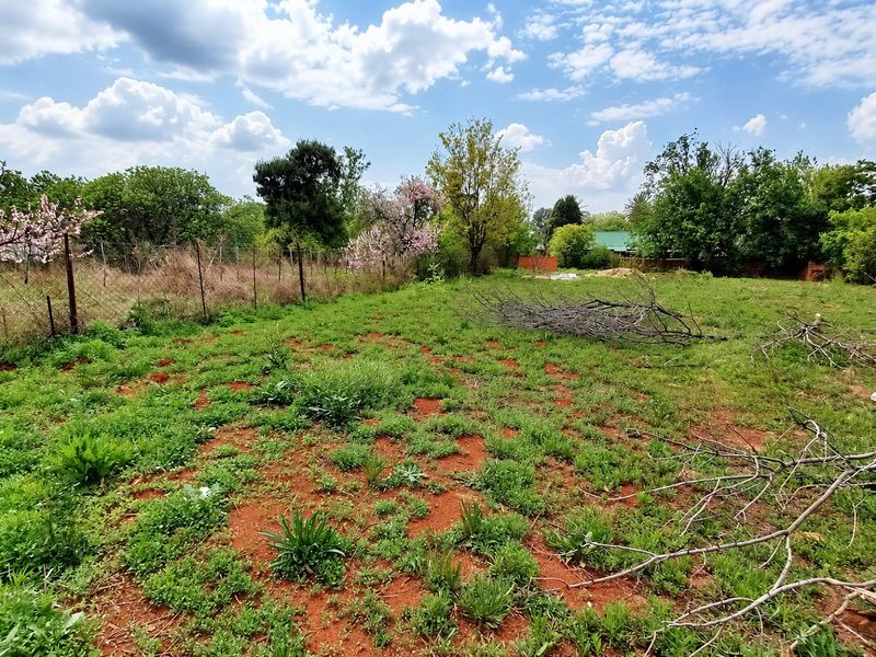 A view of a vacant residential plot featuring natural vegetation, mature trees, and perimeter wire fencing.