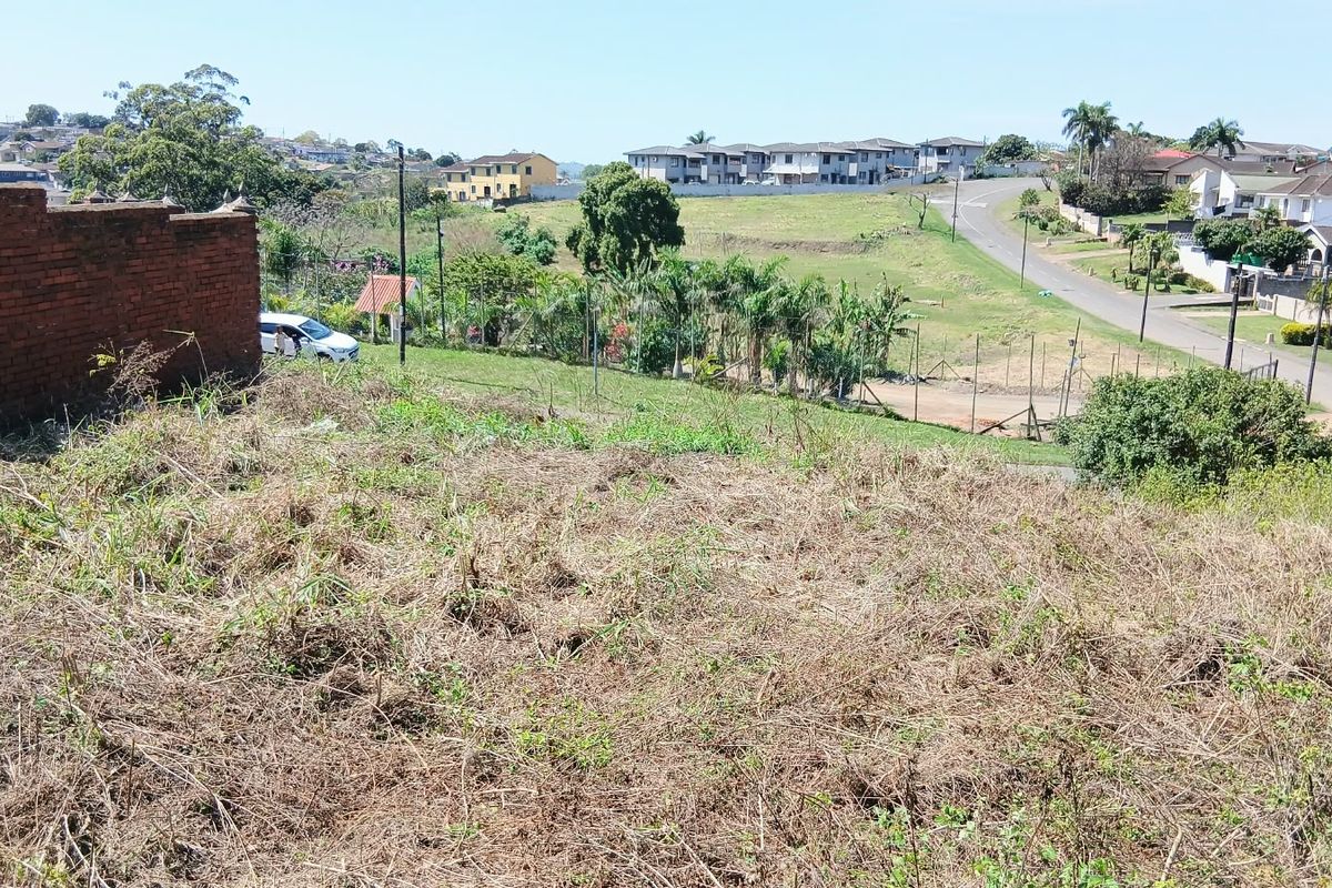 A sloped, undeveloped residential plot featuring overgrown grass, a brick boundary wall, and views of the surrounding neighborhood.