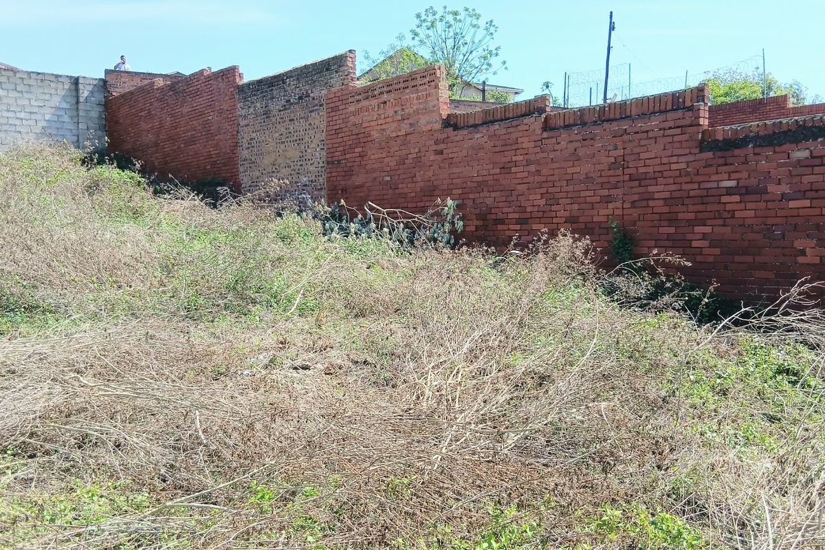 A vacant residential plot featuring overgrown vegetation and established brick boundary walls, offering a blank canvas for future development.