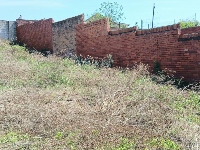 A vacant residential plot featuring overgrown vegetation and established brick boundary walls, offering a blank canvas for future development.