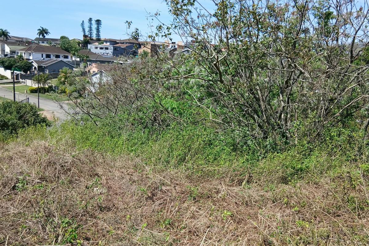 A view overlooking the sloped, undeveloped residential land with surrounding neighborhood houses visible in the background.