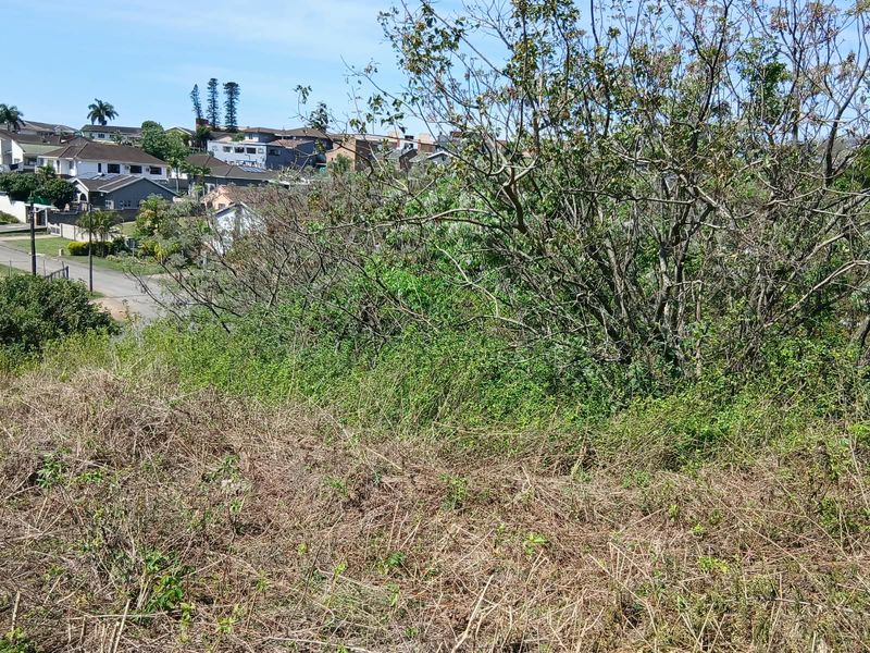 A view overlooking the sloped, undeveloped residential land with surrounding neighborhood houses visible in the background.