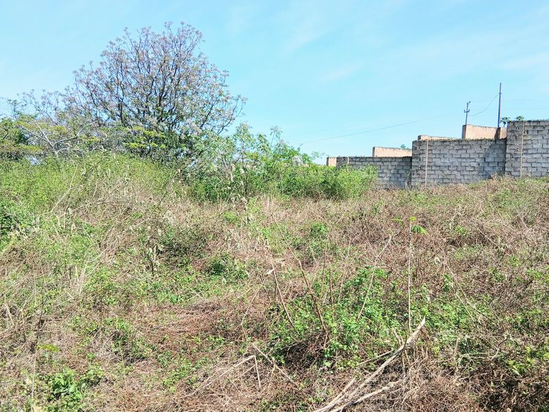 A vacant residential plot featuring overgrown vegetation and a concrete block boundary wall along the perimeter.