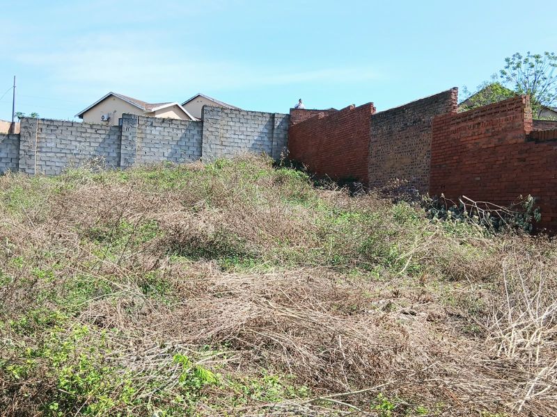 A vacant residential plot featuring overgrown vegetation and existing perimeter boundary walls constructed from brick and concrete blocks.