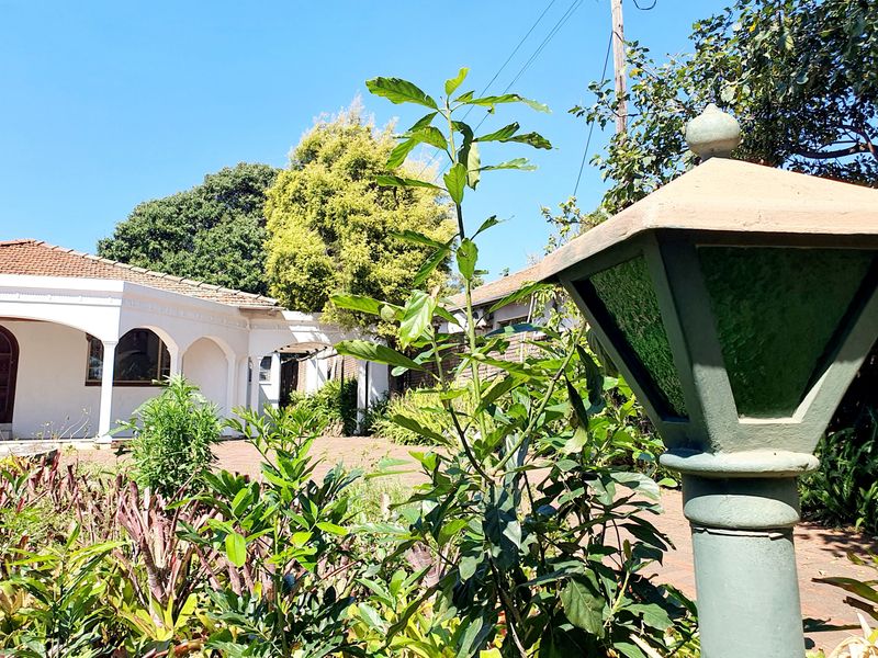 A view of the rear garden area featuring a paved courtyard, an arched veranda, and a classic garden lamp post.