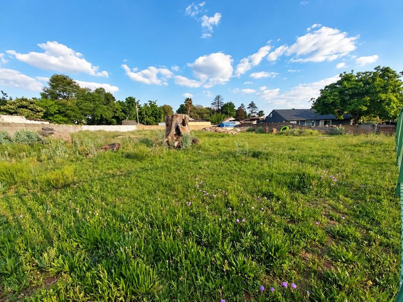A vacant residential plot featuring overgrown grass, a large tree stump, and perimeter boundary walls, offering a blank canvas for future development.