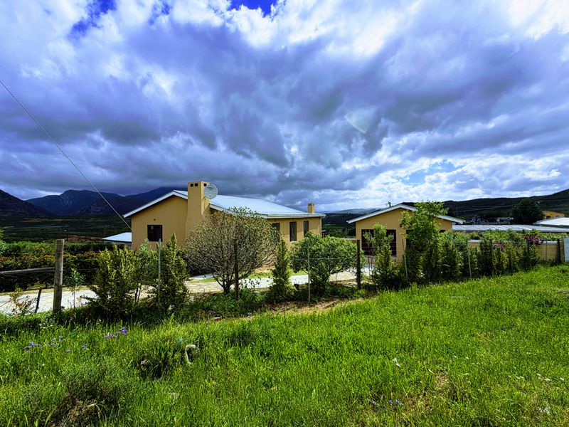 A view of the rear exterior of the house featuring a metal roof, chimney, and surrounding garden area with mountain views.