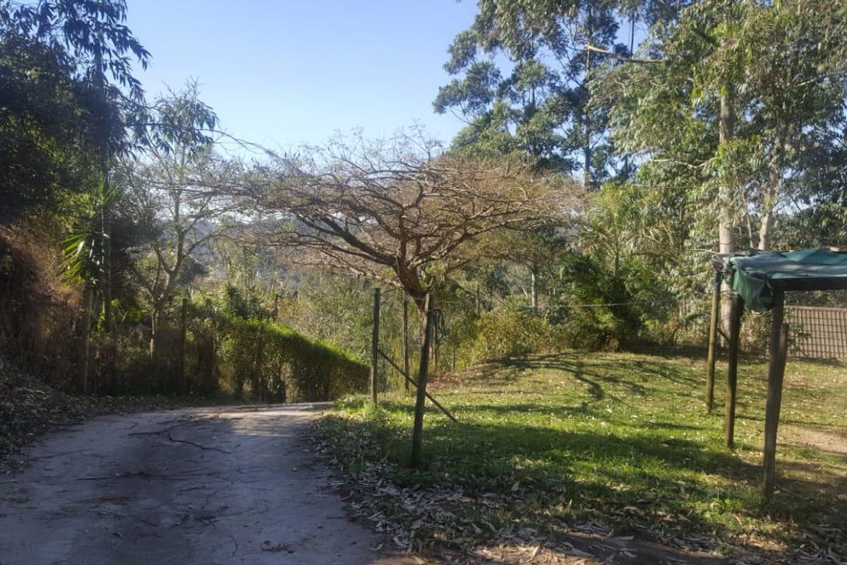 A view of the rear exterior area featuring a concrete driveway, surrounding garden space, and mature trees.