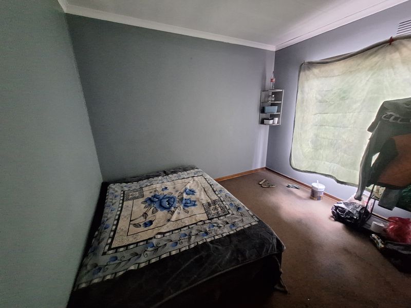 A bedroom featuring grey painted walls, a window with curtain, and carpeted flooring.