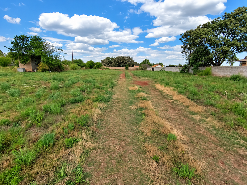 A spacious, level residential vacant land plot featuring established boundary walls and mature trees, offering a blank canvas for future development.