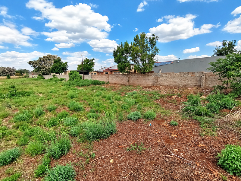 A view of a vacant residential plot featuring natural vegetation and a perimeter brick boundary wall.