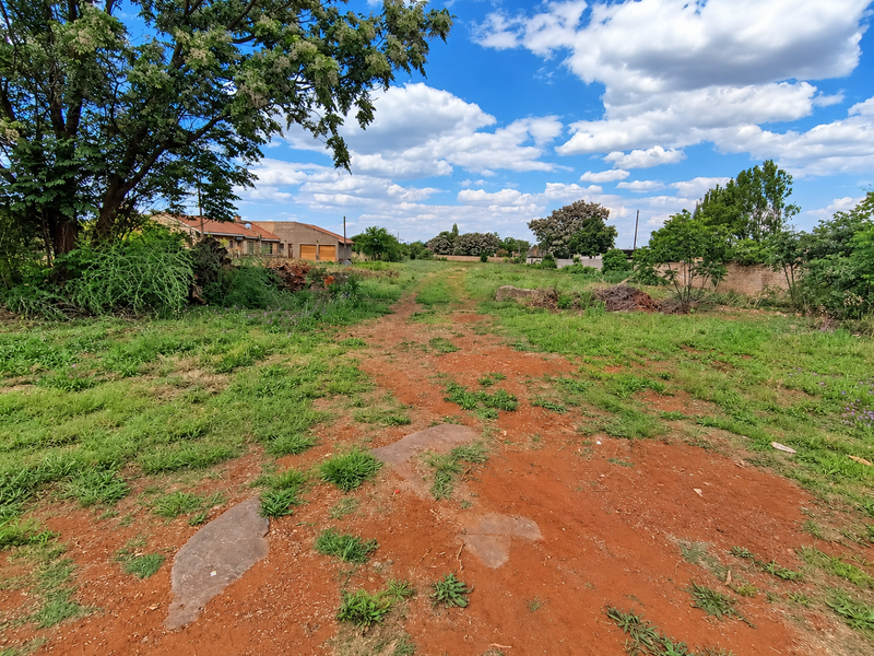 A view of a vacant residential plot featuring natural vegetation, mature trees, and an unpaved access path.