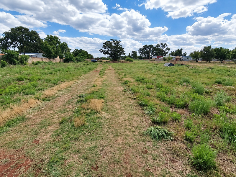 A spacious, level residential vacant land plot featuring established trees and perimeter walling, offering a blank canvas for future development.