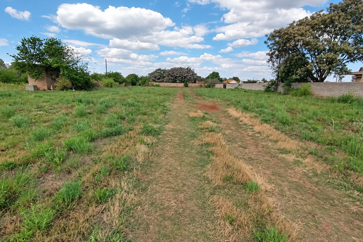 A spacious, level residential vacant land plot featuring established perimeter walls and mature trees, offering a blank canvas for future development.