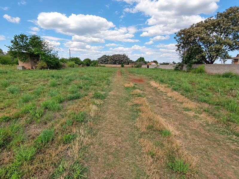 A spacious, level residential vacant land plot featuring established perimeter walls and mature trees, offering a blank canvas for future development.