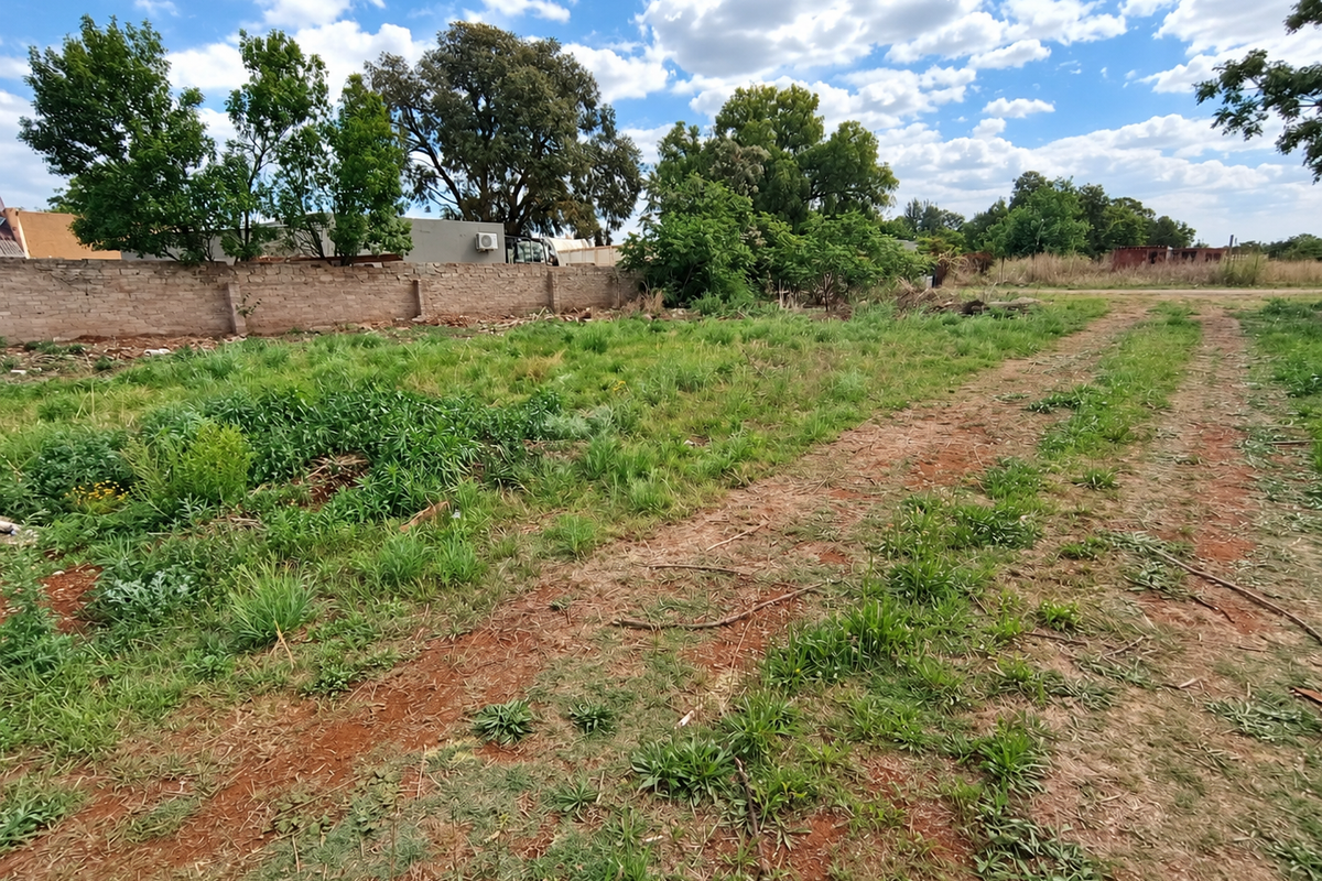 A vacant residential plot featuring natural grass, mature trees, and a perimeter boundary wall, offering a blank canvas for future development.