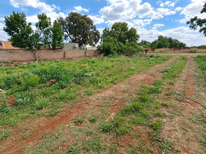 A vacant residential plot featuring natural grass, mature trees, and a perimeter boundary wall, offering a blank canvas for future development.