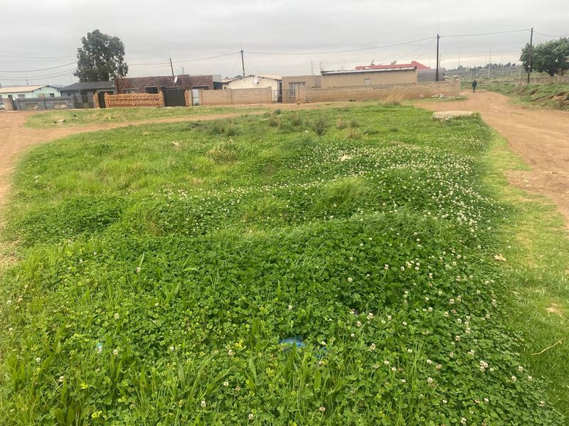 A vacant residential plot featuring natural grass cover and direct access to an unpaved road in a developing neighborhood.