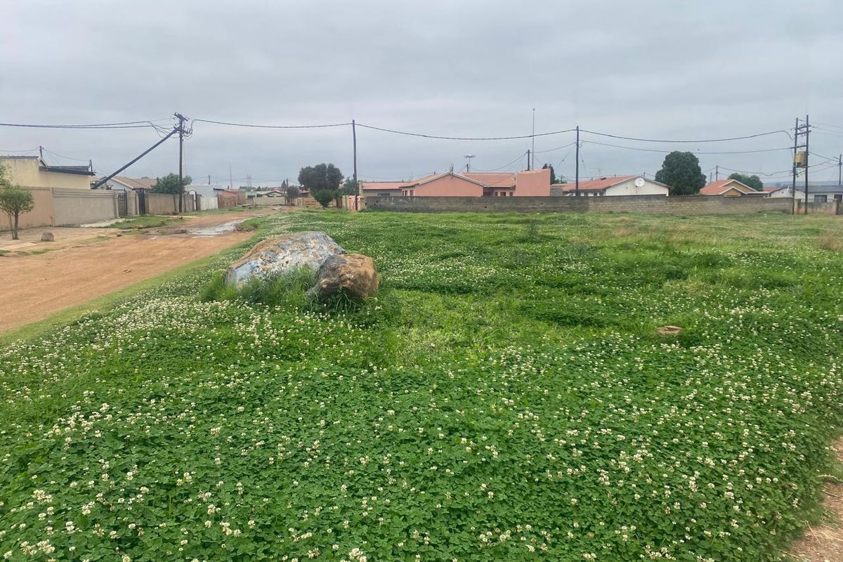 A vacant residential plot featuring natural ground cover, adjacent to an unpaved road with established boundary walls and overhead utility infrastructure.