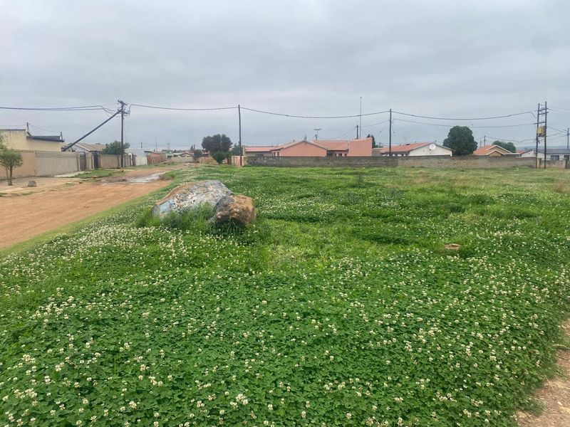 A vacant residential plot featuring natural ground cover, adjacent to an unpaved road with established boundary walls and overhead utility infrastructure.