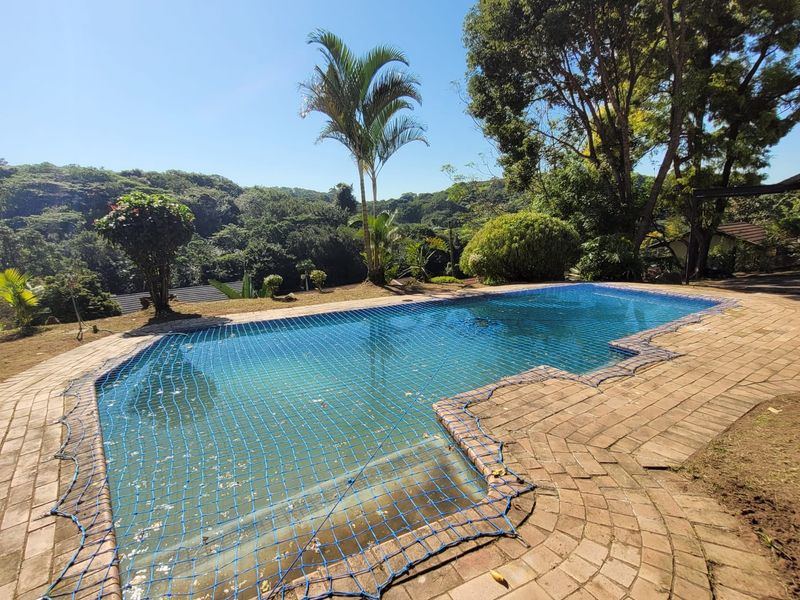Outdoor swimming pool area featuring brick paving and a safety net, set within a landscaped garden with mature trees and scenic views.