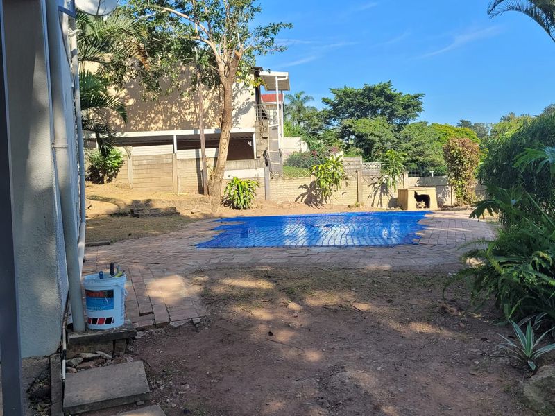 Outdoor pool area featuring a paved surround, safety net, and boundary wall, set within a garden space requiring landscaping improvements.