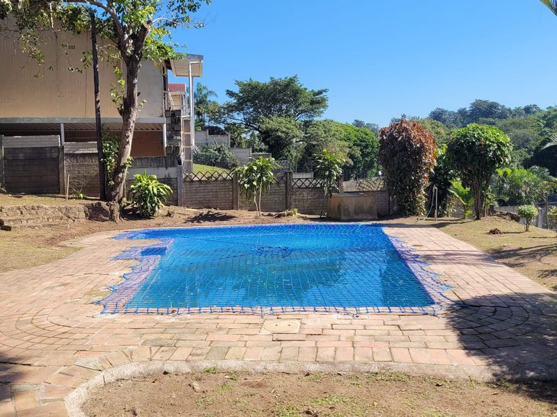 Outdoor swimming pool area featuring brick paving, a safety net, and surrounding boundary walls in a garden setting.