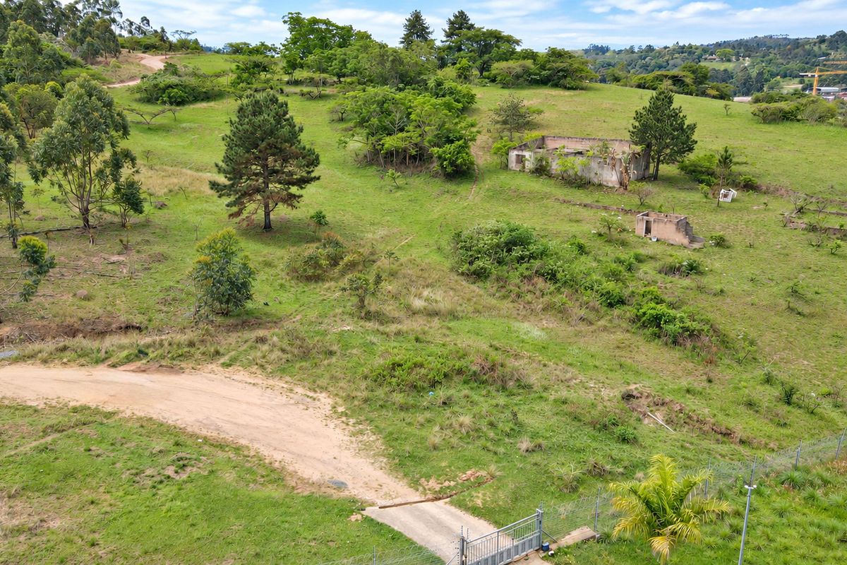 Aerial view of a large vacant residential plot featuring rolling green terrain, mature trees, and the remains of dilapidated structures.