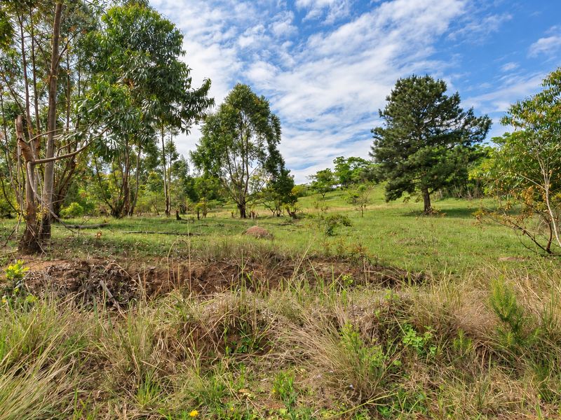 A view of a vacant residential plot featuring established trees and natural grassland under a clear blue sky.