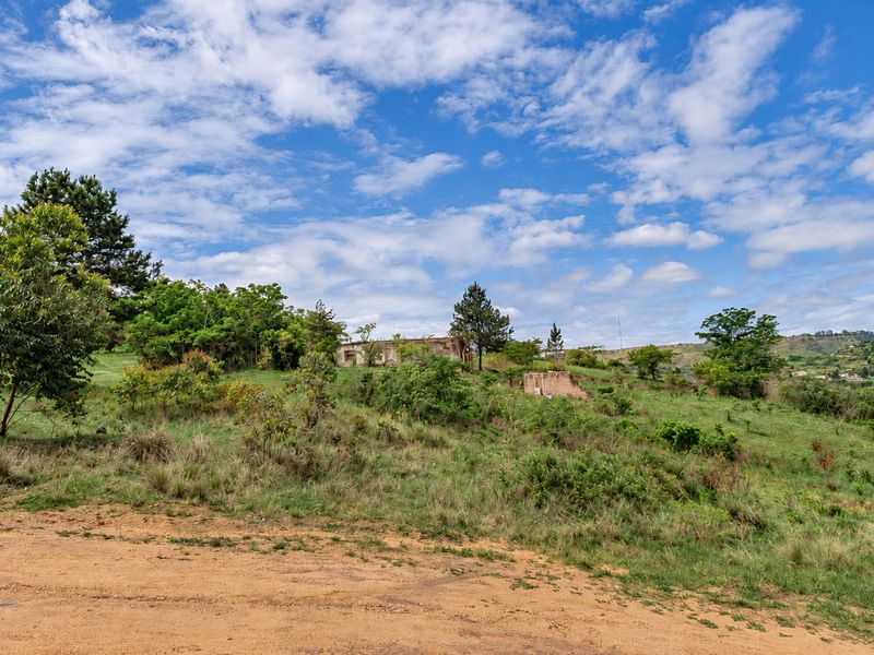 A sloped residential vacant land plot featuring mature trees, an unpaved access road, and the remains of a dilapidated masonry structure.