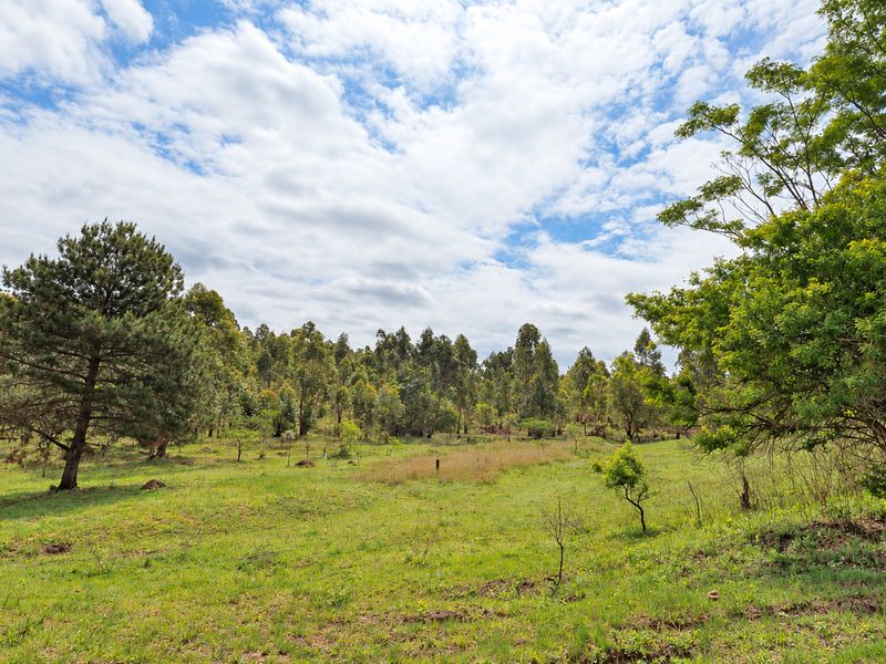 A view of a vacant residential plot featuring established trees and natural grassland, offering a peaceful and scenic setting for potential development.