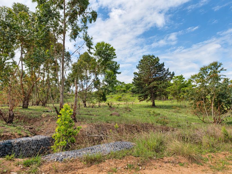 A view of a vacant residential plot featuring established trees, natural grassland, and installed gabion retaining structures.
