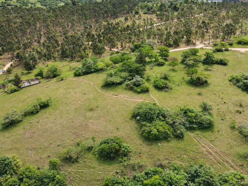 Aerial view of a large, sloping residential vacant land plot featuring natural vegetation, scattered trees, a dirt access road, and a small derelict structure.