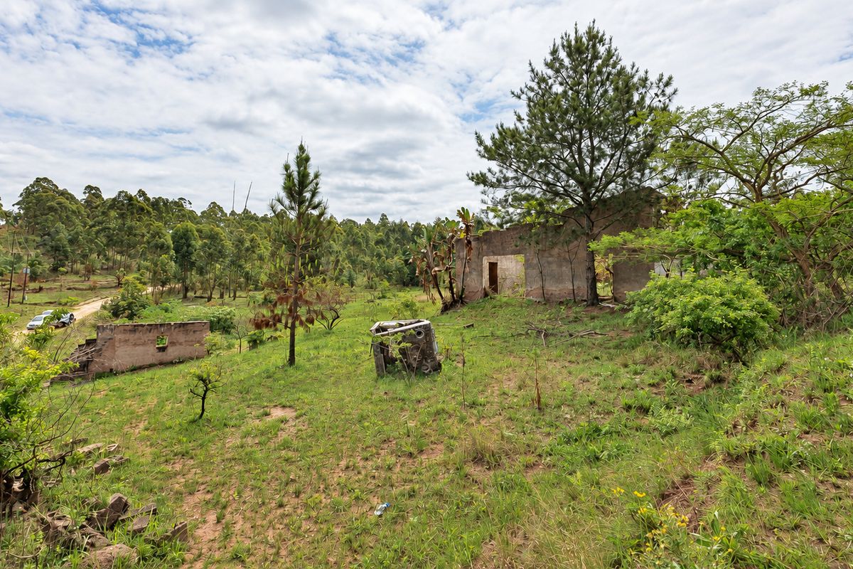 A view of a vacant residential plot featuring the remains of a ruined masonry structure set amongst mature trees and natural vegetation.