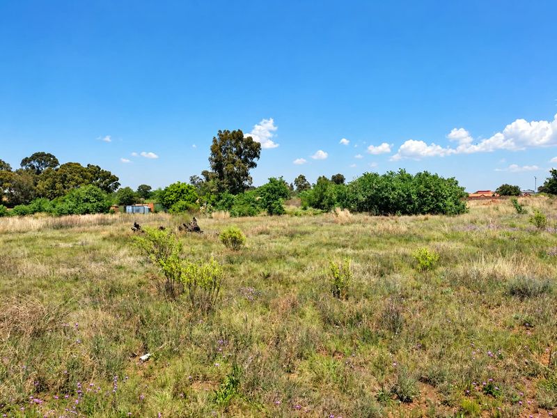 A view of a vacant residential plot featuring natural grass, shrubs, and mature trees under a clear blue sky.