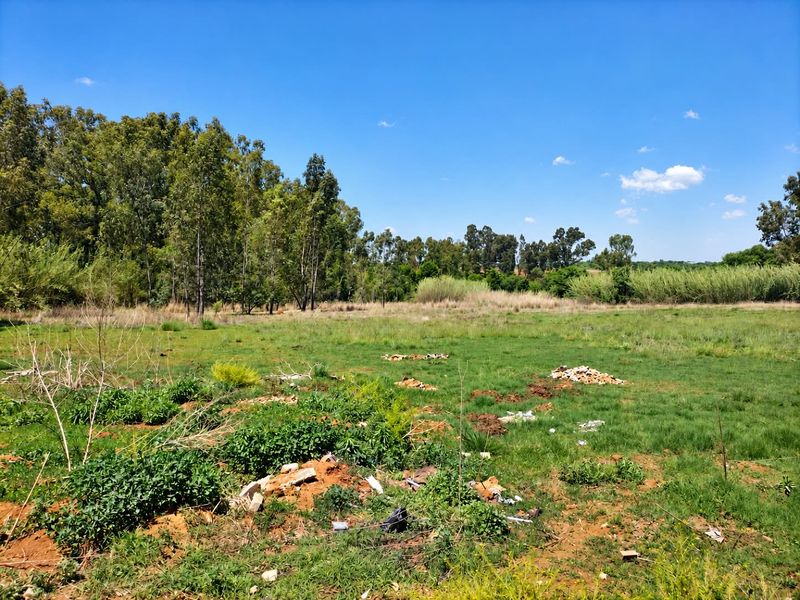 A view of a vacant residential plot featuring open grassland, scattered debris, and mature trees along the perimeter.