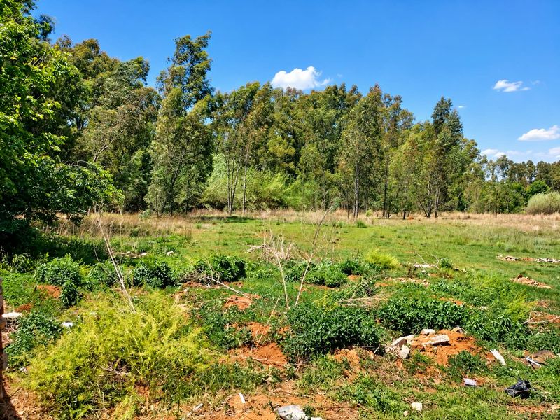A view of a vacant residential plot featuring natural grassland and mature trees, offering a peaceful and spacious outdoor setting.