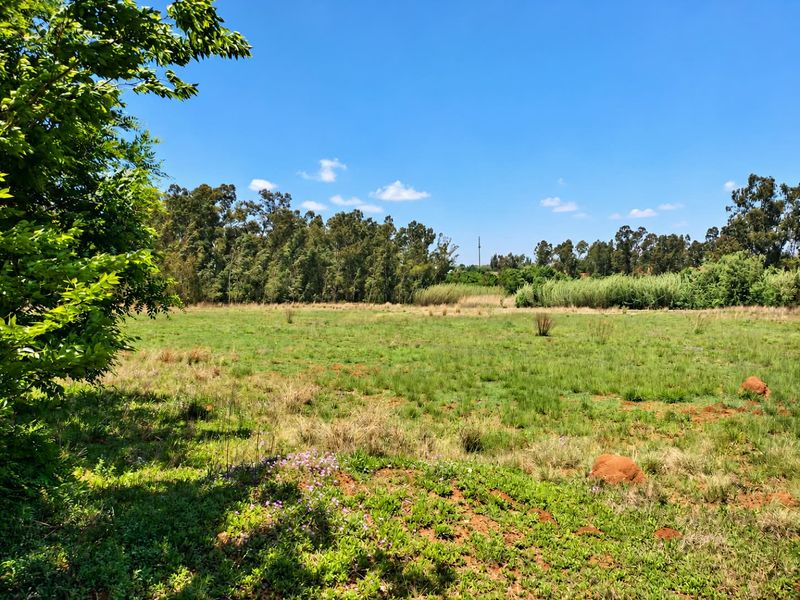 A view of a vacant residential plot featuring open grassland, natural vegetation, and mature trees under a clear blue sky.