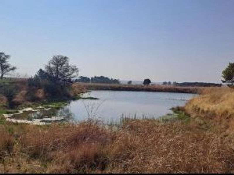 58.2 ha Versatile Farm for Sale – Kleinzonderhout, Bronkhorstspruit - Photo 8