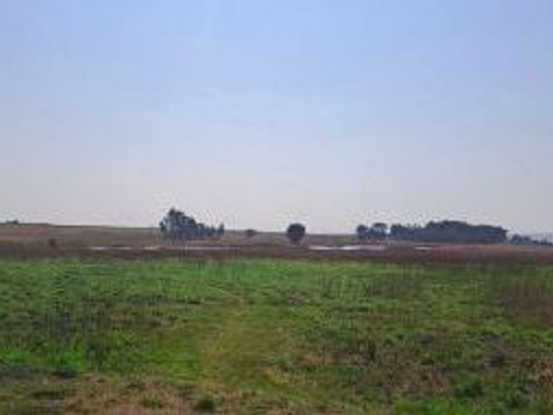58.2 ha Versatile Farm for Sale – Kleinzonderhout, Bronkhorstspruit - Photo 10